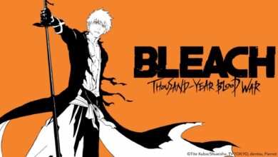 ตัวอย่าง Bleach