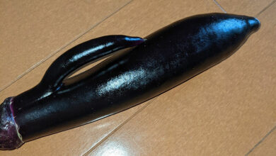 มะเขือม่วงทรงแปลก