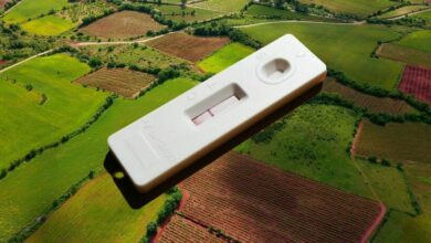 ATK ตรวจที่ดิน