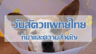 วันสัตวแพทย์ไทย
