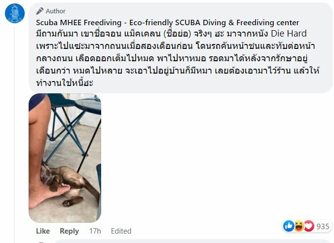 ข่าวล่าสุด ไวรัลแมวร้านดำน้ำ