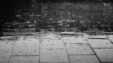 เตือนพื้นที่ฝนตกหนัก