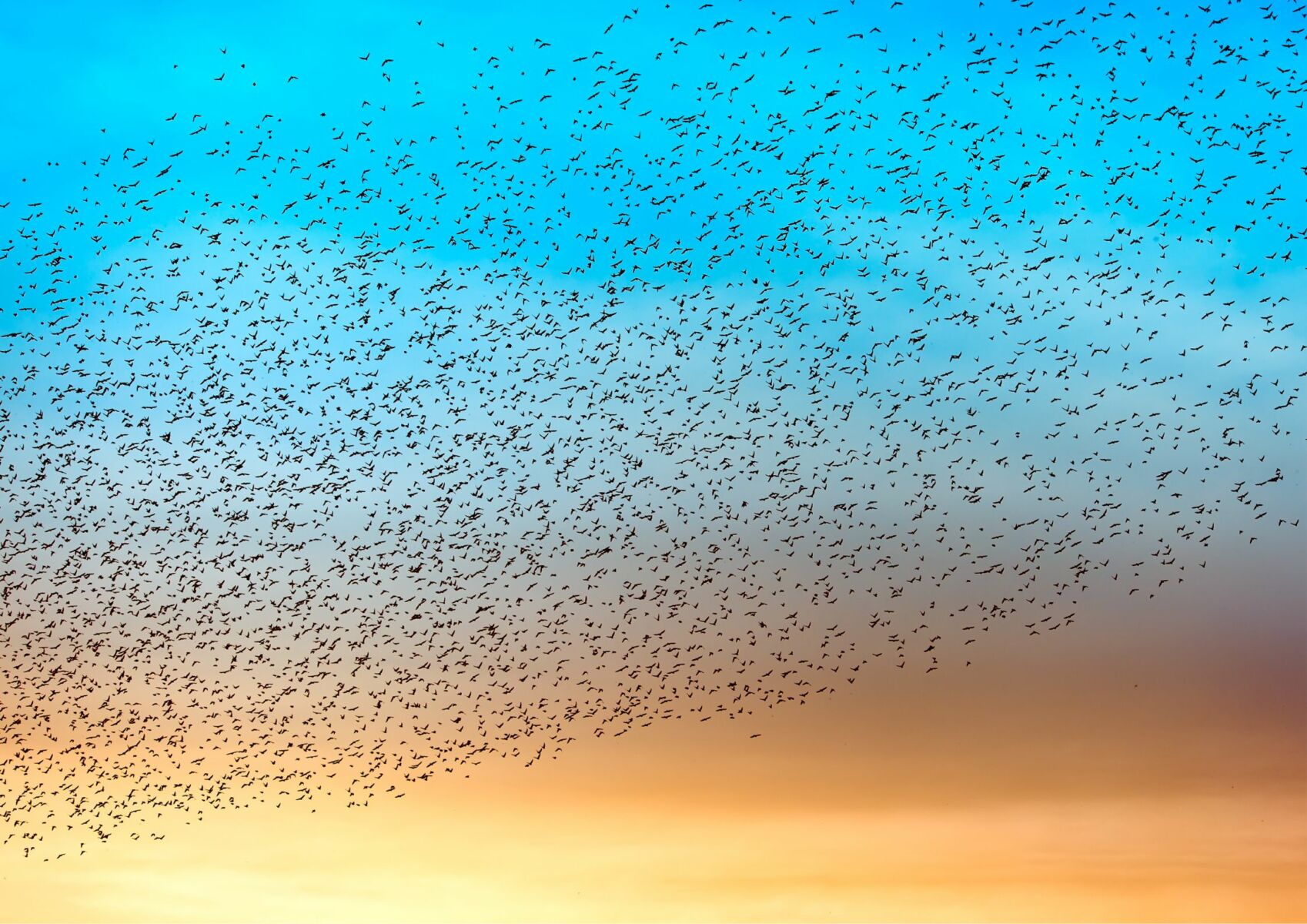 สัญญาณเตือนแผ่นดินไหว