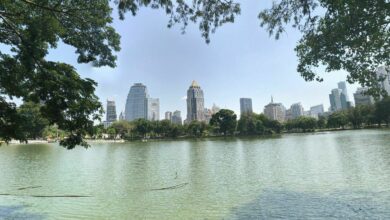 เวลาเปิดสวนสาธารณะ