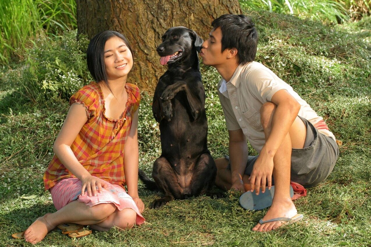 ชวนดู ว้อ หมาบ้ามหาสนุก ทรูโฟร์ยู ช่อง 24