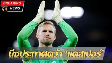 ชไมเคิล นีซ