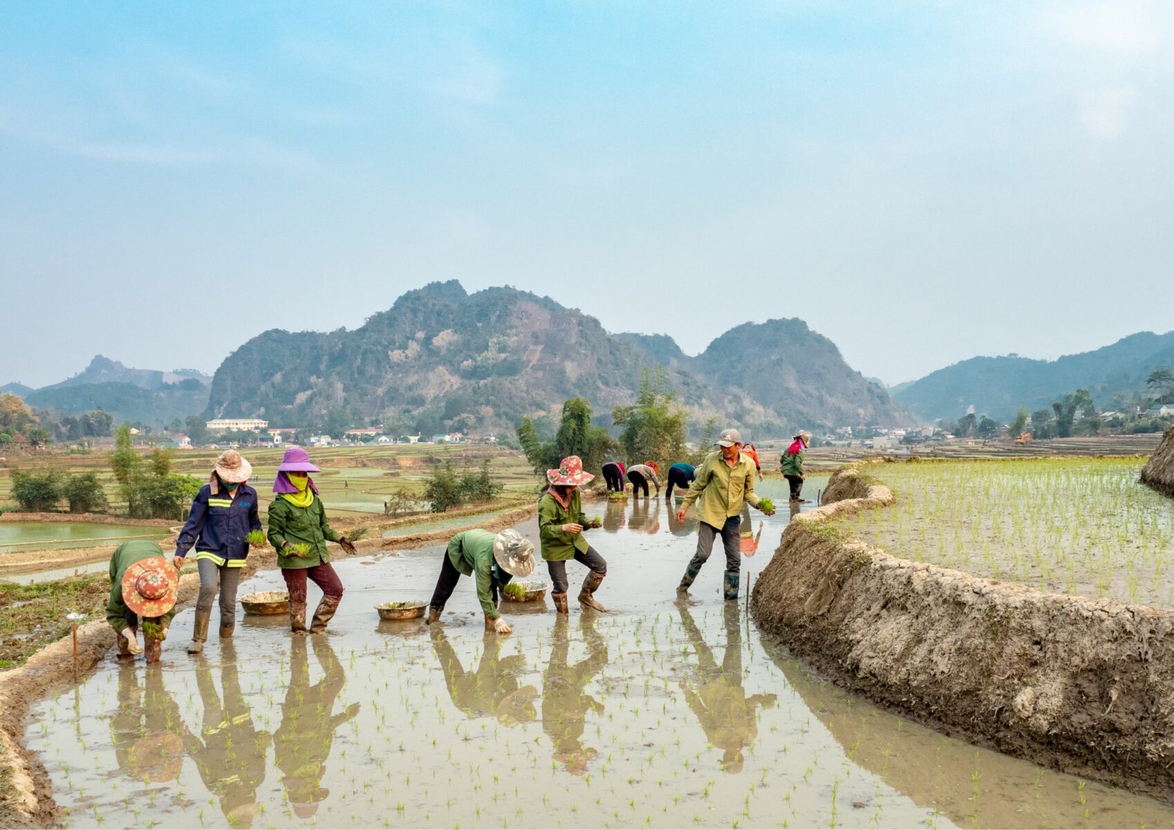 ทำนายความฝันว่าได้หว่านข้าว เลขเด็ด