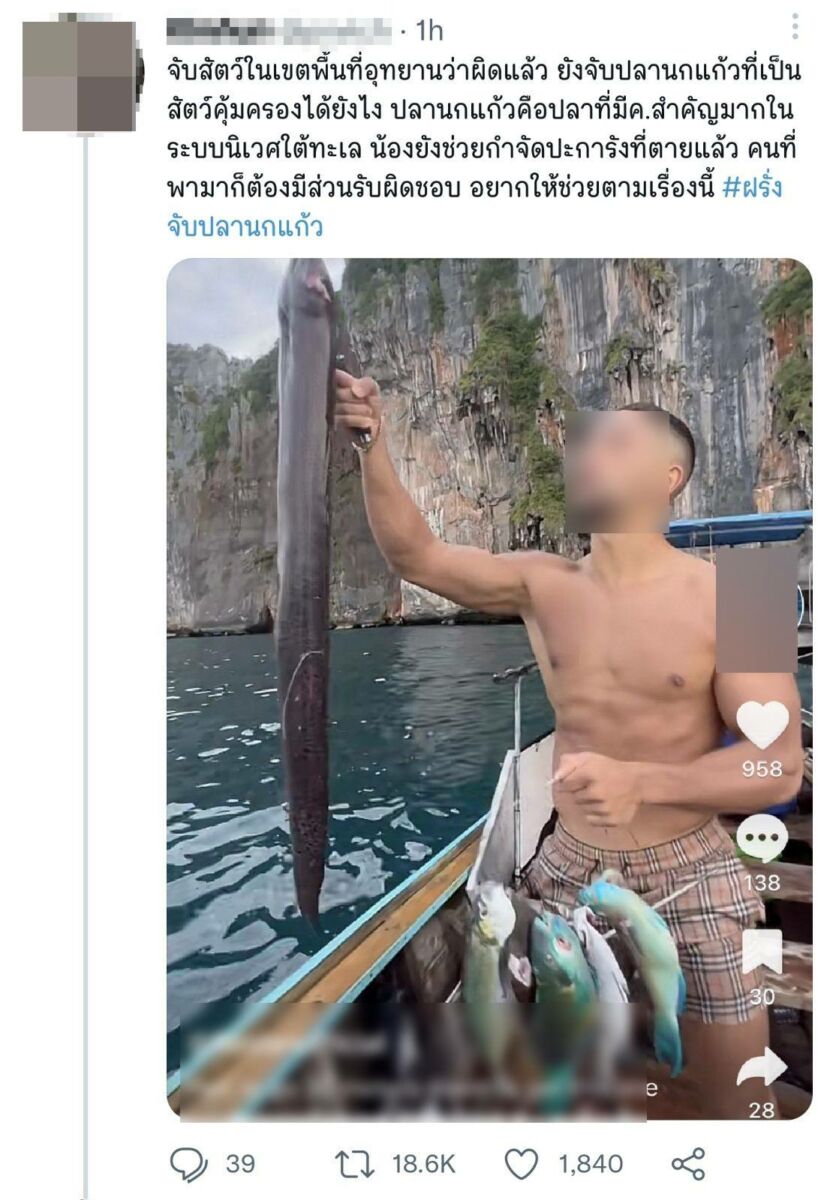 จับปลานกแก้ว