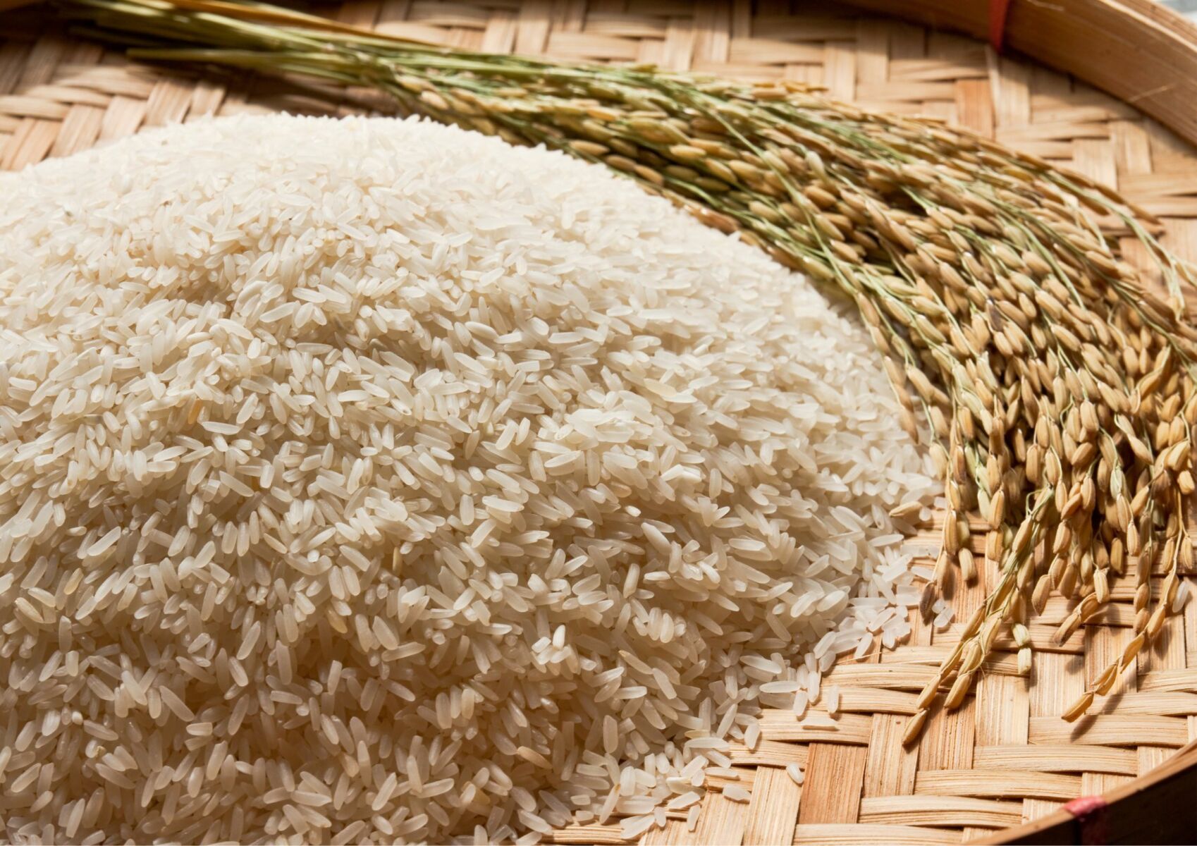 ฝันว่าได้หว่านข้าว