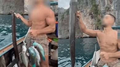 ฝรั่งจับปลา