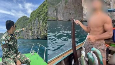 ฝรั่งจับปลานกแก้ว ล่าสุด