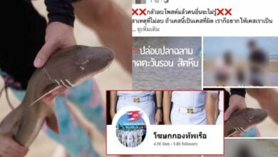 กองทัพเรือ ปล่อยฉลาม