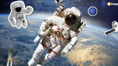 science day 2567 quote