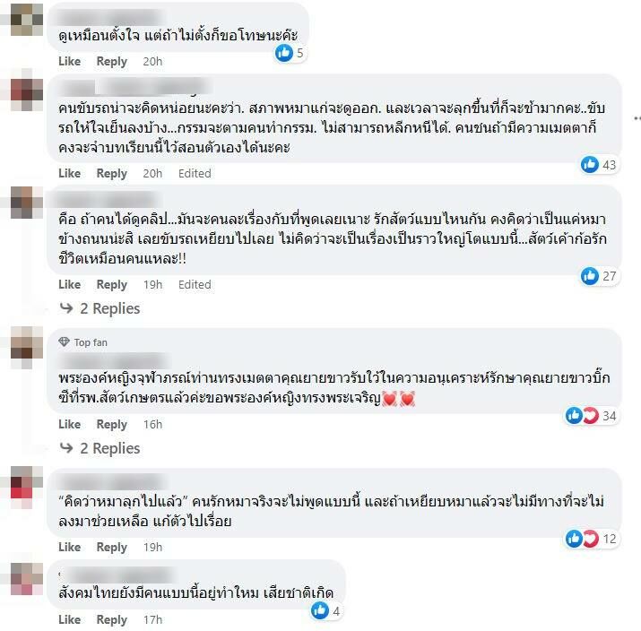 วิจารณ์คนขับรถทับสุนัขขาว