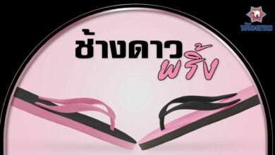 นันยาง รุ่น ช้างดาวพริ้ง BLACKPINK