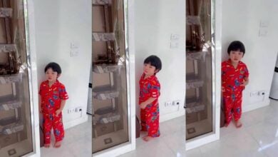 นิวเคลียร์ ทำโทษ น้องไทก้า