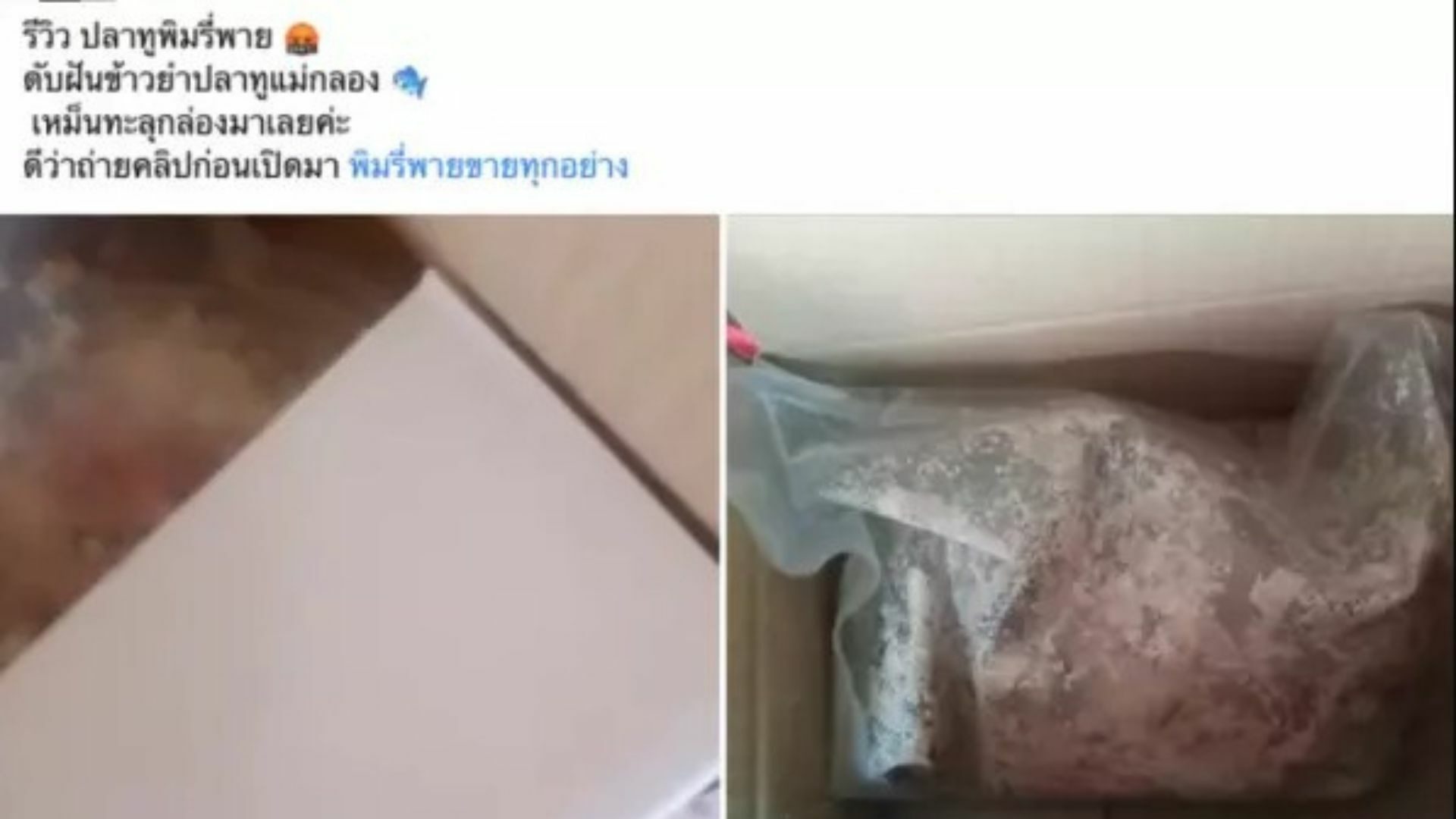 ปลาทู พิมรี่พาย ราคา