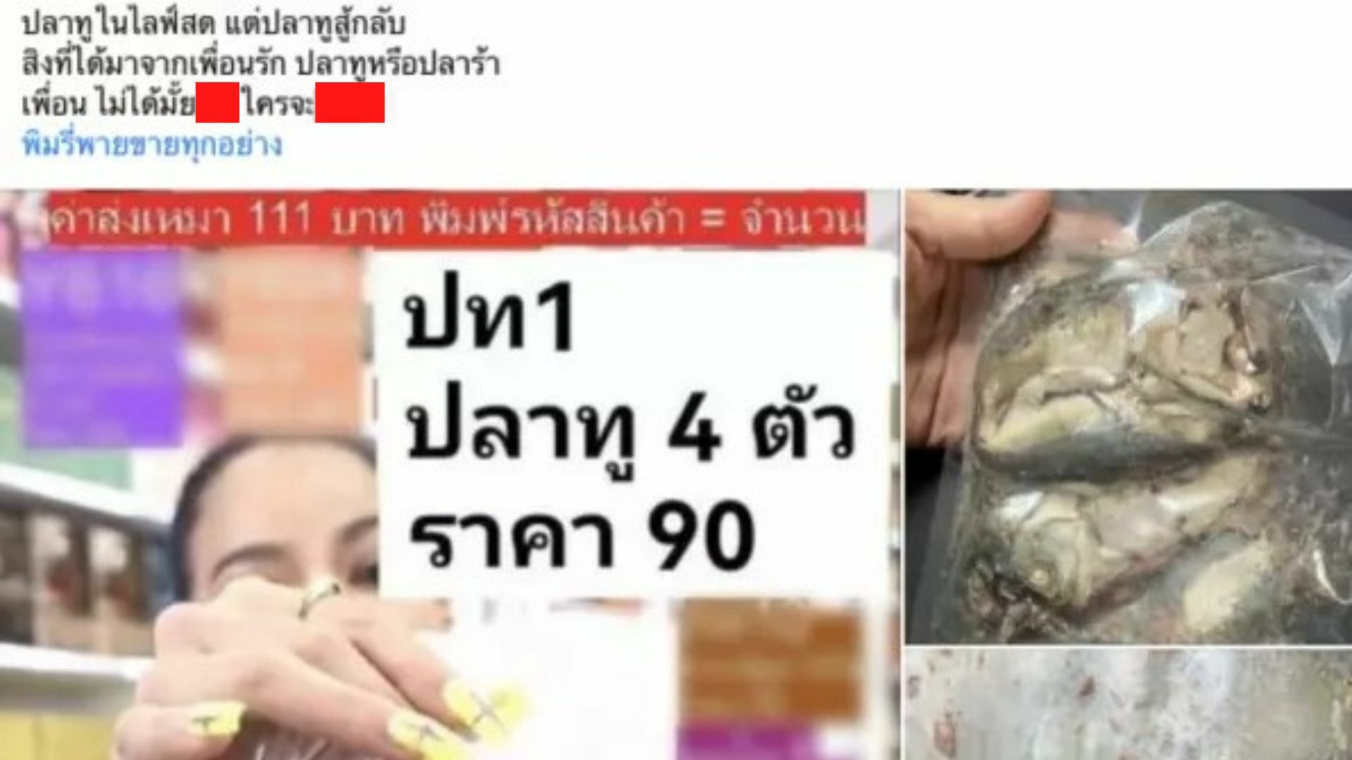 ปลาทูเละ 4ตัว90บาท พิมรี่พาย