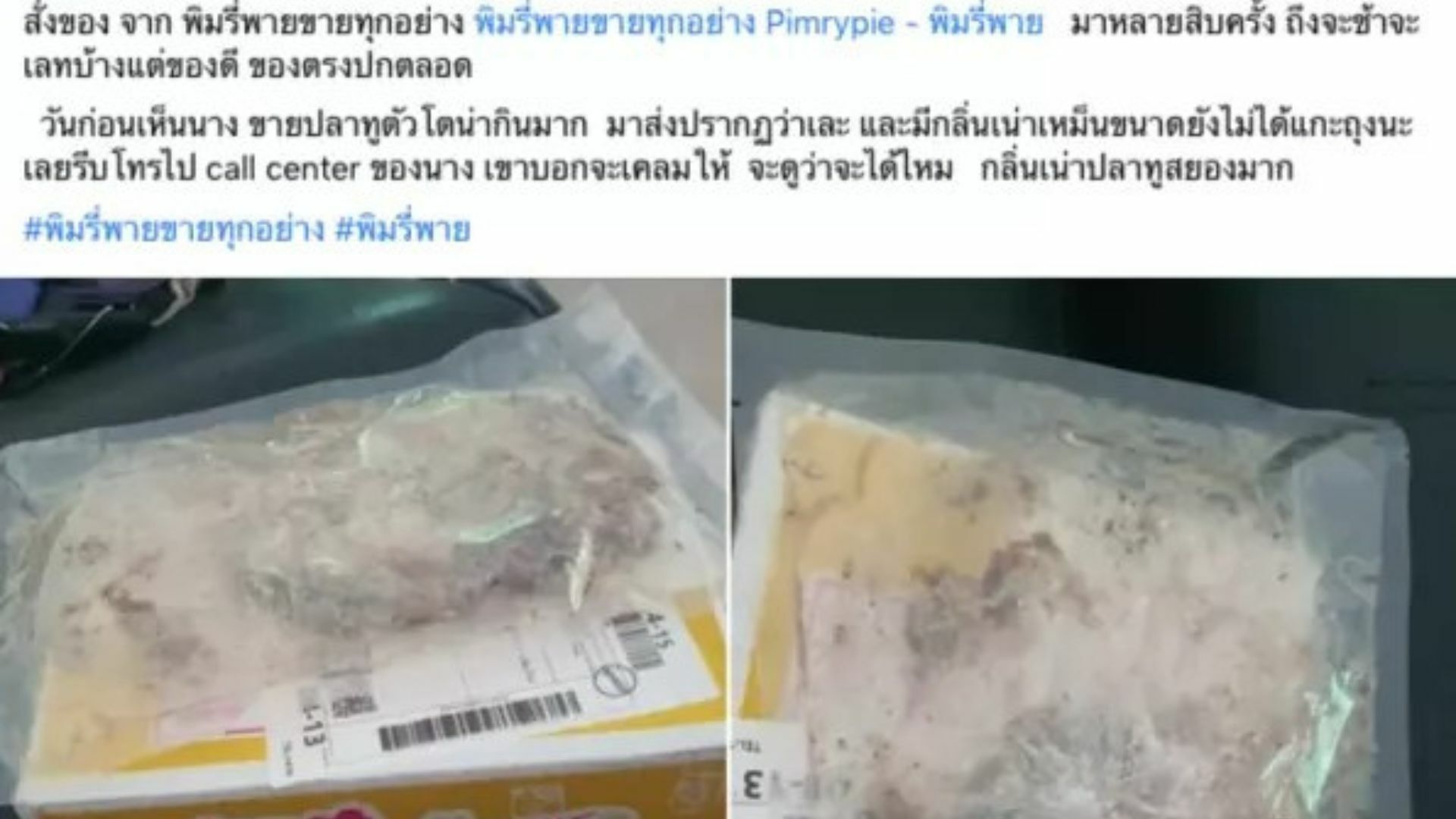 ปลาเน่า พิมรี่พาย