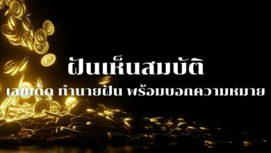 ฝันเห็นสมบัติ