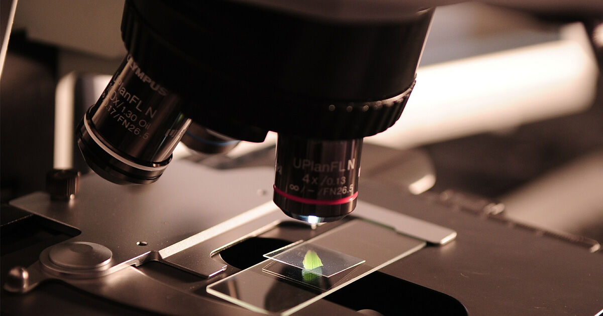 วันวิทยาศาสตร์แห่งชาติ 2565 หยุดไหม