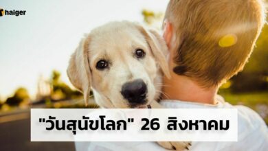 วันสุนัขโลก 26 สิงหาคม 2565 2022