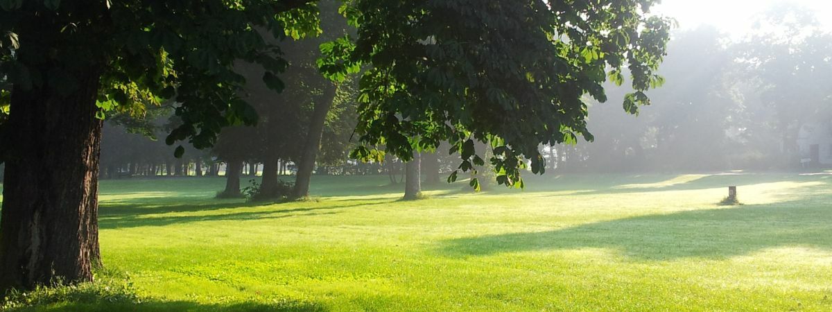 หนังสือในสวน เดือนสิงหาคม