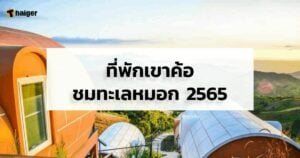 เดินทาง ที่พักเขาค้อชมทะเลหมอก 2565