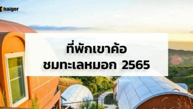เดินทาง ที่พักเขาค้อชมทะเลหมอก 2565