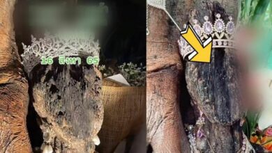 เลขเด็ด พี่สาว ตุ๊กตาไม้ 16 8 65 หวยงวดนี้ ใครตาดีลุ้นจับเงินก้อน