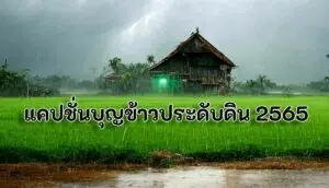 แคปชั่นบุญข้าวประดับดิน 2565 (1)