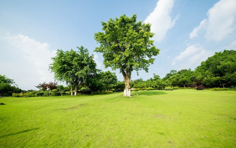 16 กันยายน วันโอโซนโลก