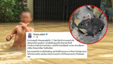 Drama-addict โรคฉี่หนู