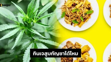 กินเจ 2565 สูบกัญชาได้ไหม 2565