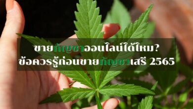 ขายกัญชาออนไลน์ได้ไหม