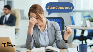 คนไทยทำงานหนักมาก