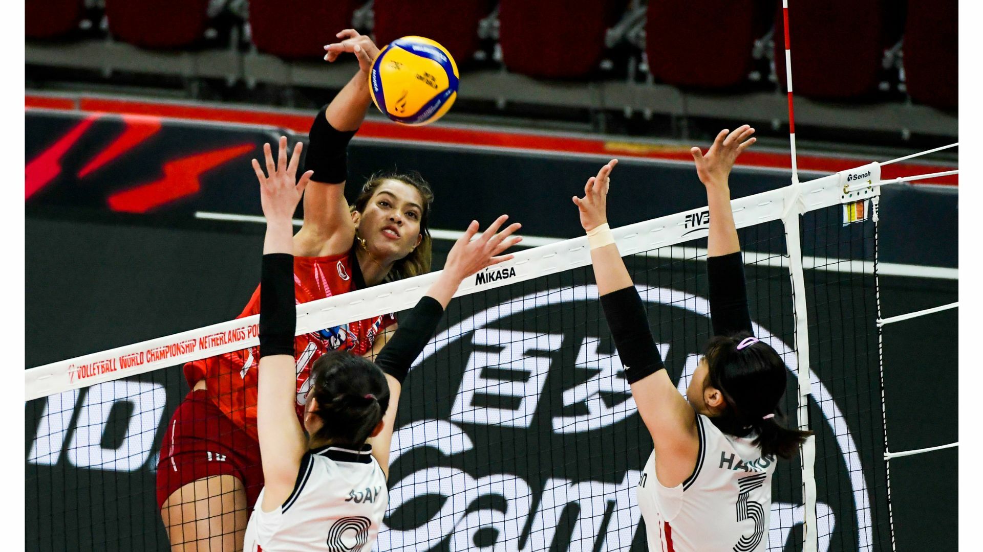 คอมเมนต์แฟนวอลเลย์บอลต่างชาติ หลังไทยชนะเกาหลีใต้