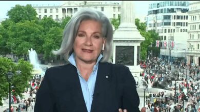 ลิซ่า ลาแฟลมเม่