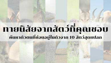 ทายนิสัยจากสัตว์ที่ชอบ