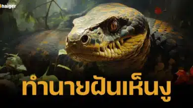 ทำนายฝันเห็นงู