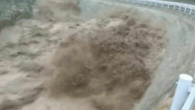 นันมาดอล ล่าสุด