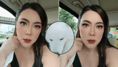 บุ๋มปนัดดาแจงข่าวดาราดัง
