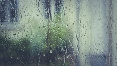 ฝนตกกรุงเทพวันนี้