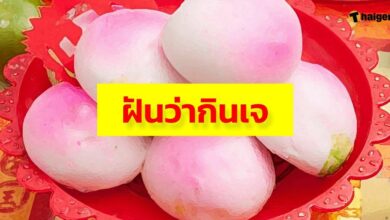 ฝันว่ากิจเจ งานบุญครั้งใหญ่ ทำนายฝัน พร้อมความหมาย