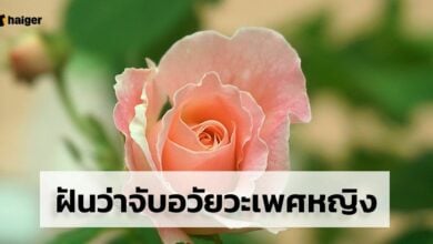 ฝันว่าจับอวัยวะเพศหญิง