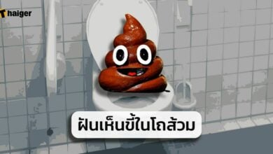 ฝันเห็นขี้ในโถส้วม