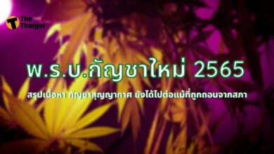 พ.ร.บ.กัญชาใหม่ 2565