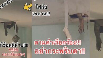 มือโผล่จากเพดาน ตัวเงินตัวทอง