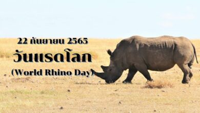 วันแรดโลก 2565