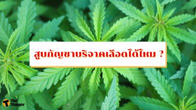 สูบกัญชาบริจาคเลือดได้ไหม